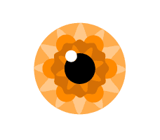 Orange Iris