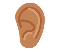 Ear