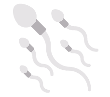 Sperm