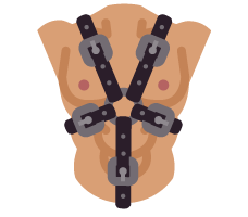 Leather Harness