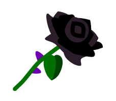 Black Rose