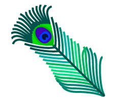 Peacock Feather