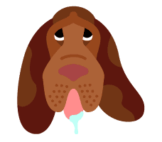 Bloodhound