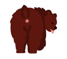 Bear Butt