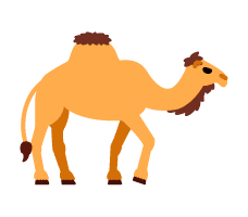 Camel