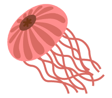 Jellyfish