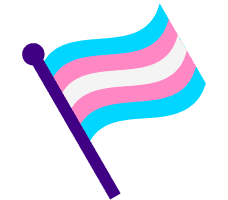 Transgender Flag