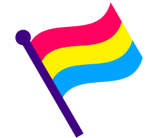 Pansexual Flag